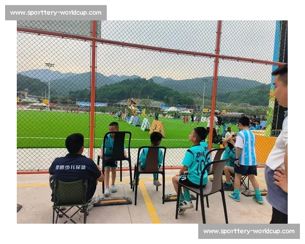 过顶的好球:足球场上的致命弧线 过顶的好球:足球场上的致命弧线