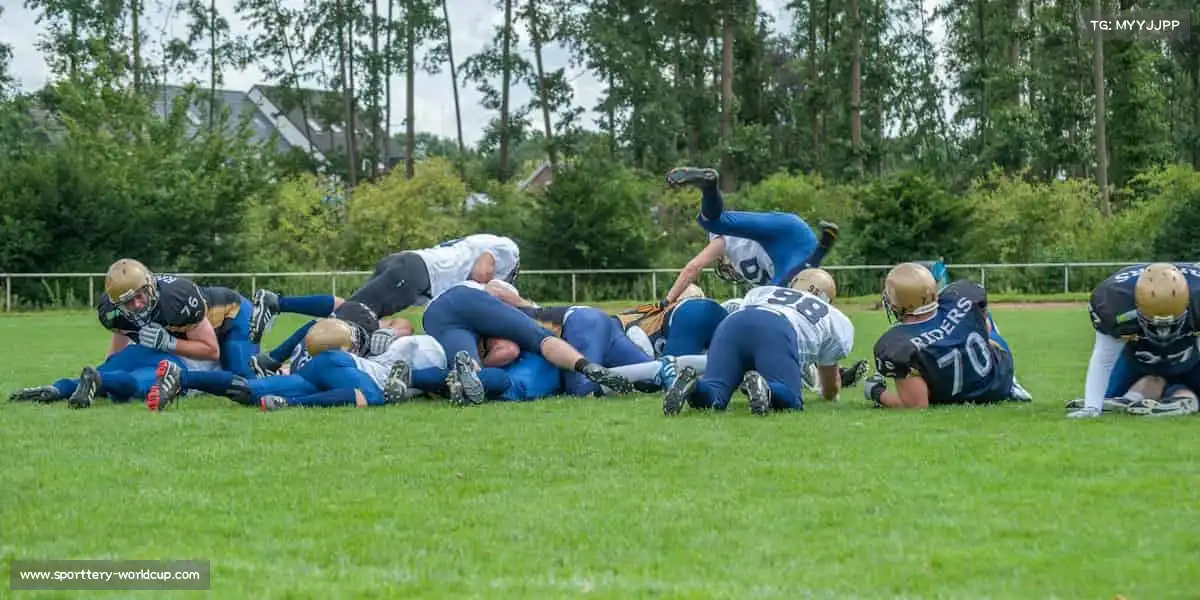 行业领先的理由